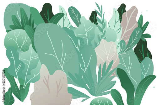 Vector abstract green bushes, trees with wide foliage pattern, symbol of nature, ecology and organic products. Forest or garden plant with summer leaves. Isolated cartoon illustration