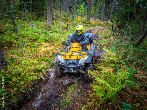 Off-road. A man drives through the marshy part of the forest. ATV. Travel through the forest. All-terrain vehicle. A man controls the ATV.