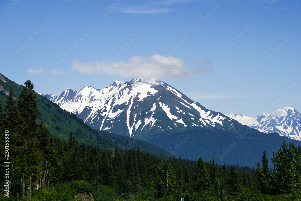 Mountain covered with snow with pine trees in the foreground with blue sky near Anchorage Alaska