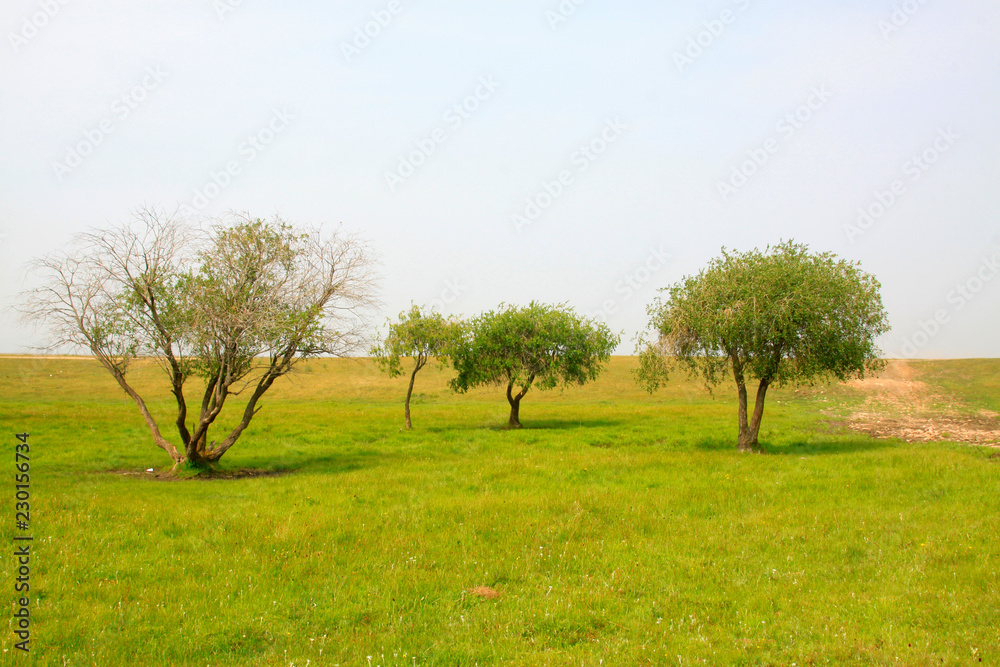 beautiful natural scenery in the WuLanBuTong grassland, China beautiful natural scenery in the WuLanBuTong grassland, China