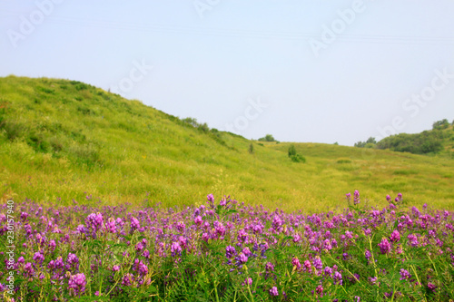 natural scenery in the Tuligen River, Xilin gol league, China