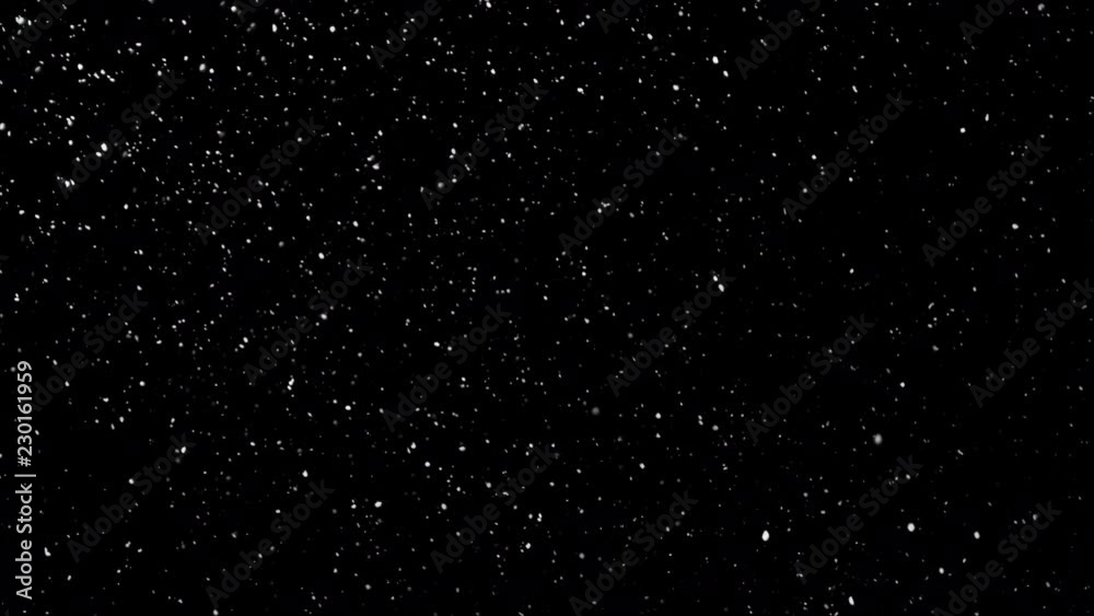 White Snow Falling on Isolated Black Background, Shot of Flying Snowflakes Bokeh, Dust Particles or Powder in the Air. Holiday Overlay Effect White Snow Falling on Isolated Black Background, Shot of Flying Snowflakes Bokeh, Dust Particles or Powder in the Air. Holiday Overlay Effect