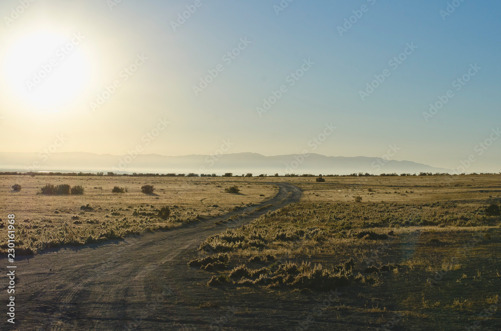 Obraz premium The lone dirt road heading off into the yellow desert sunlight. 