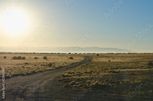 The lone dirt road heading off into the yellow desert sunlight. 