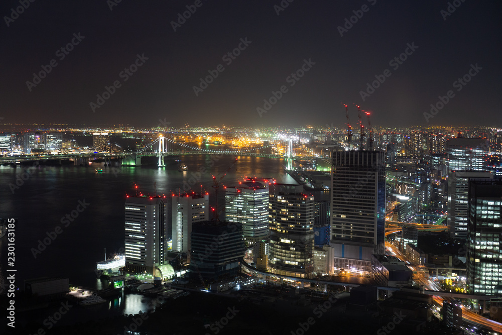 Tokyo night view