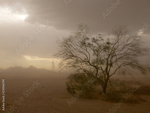 middle of sandstorm