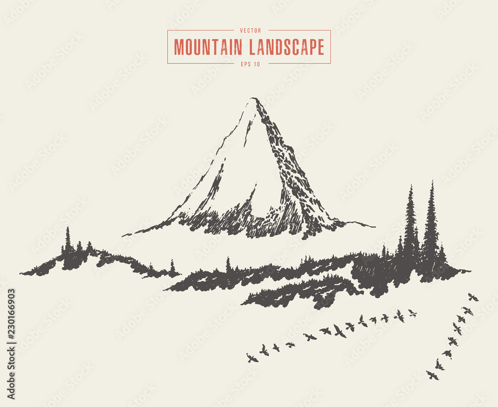Mountain landscape fir forest vector drawn sketch
