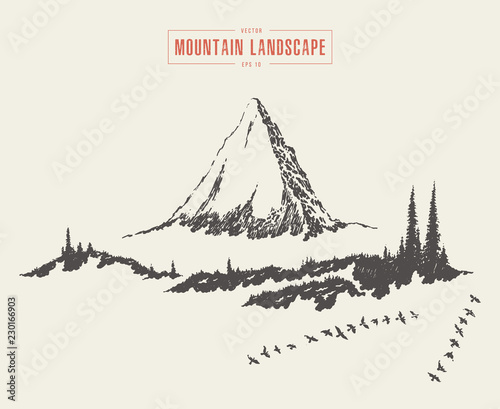 Mountain landscape fir forest vector drawn sketch