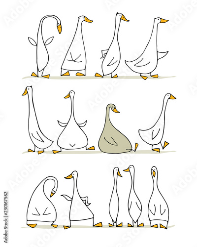 Funny goose set, sketch for your design