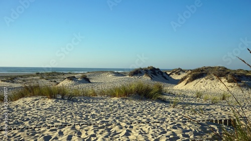 sand dunes of sao jacinto beach near aveiro