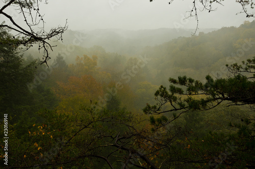 Foggy Overlook 1 photo