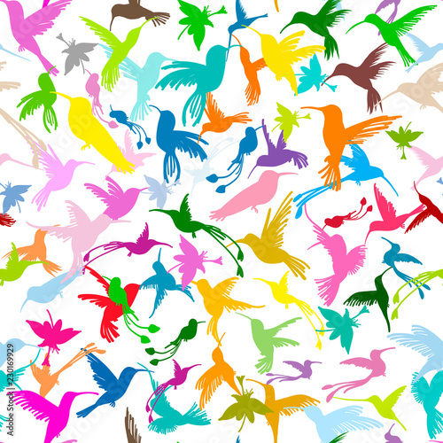 Colibri collection, sketch for your design