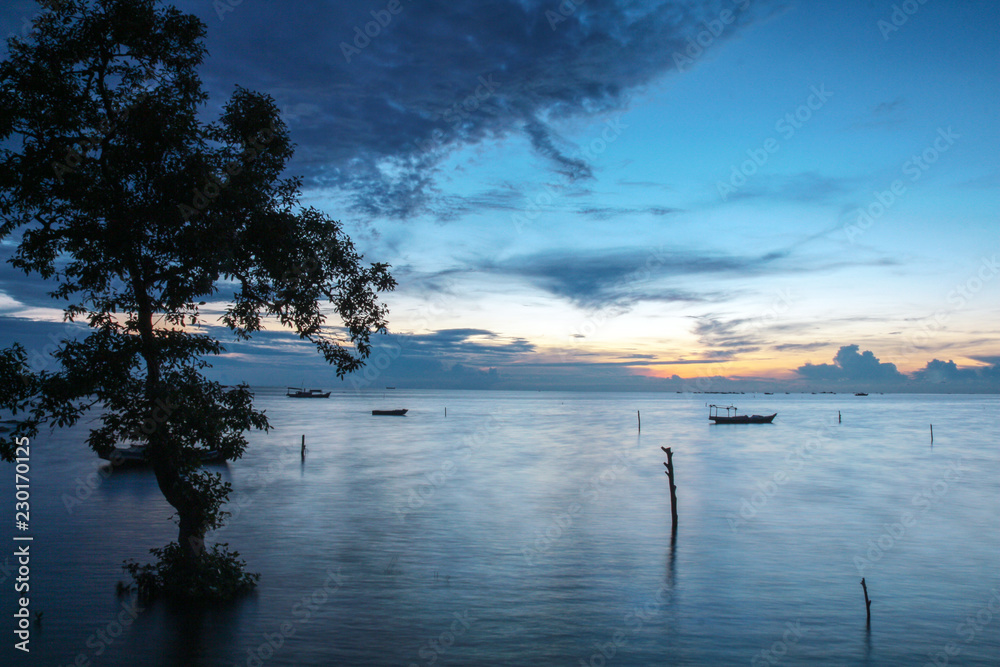 Fototapeta premium Mangrove in The Afternoon