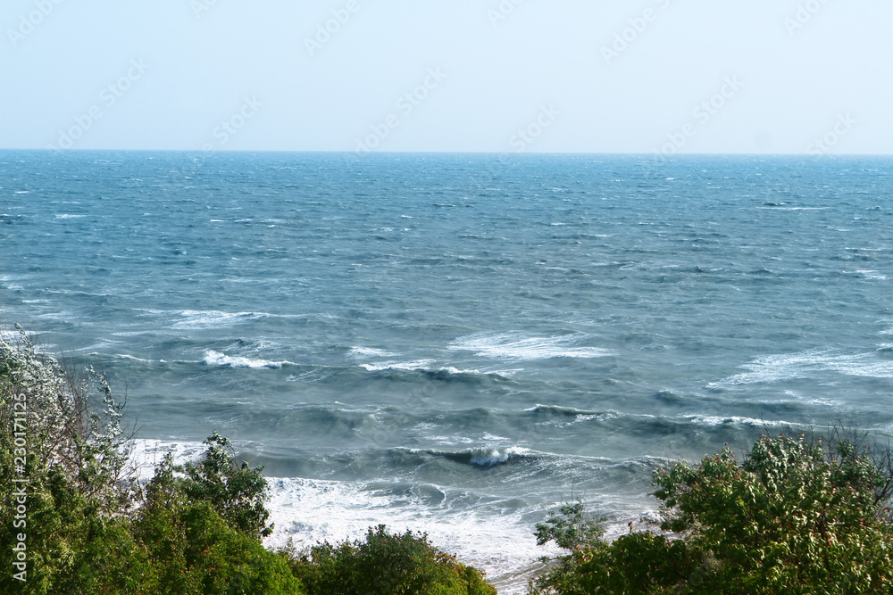 sea beach - wild beach with the forest, photo of nature