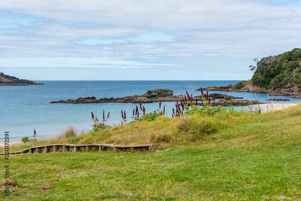 Panoramic view of Matai Bay in karikari peninsula in New Zealand