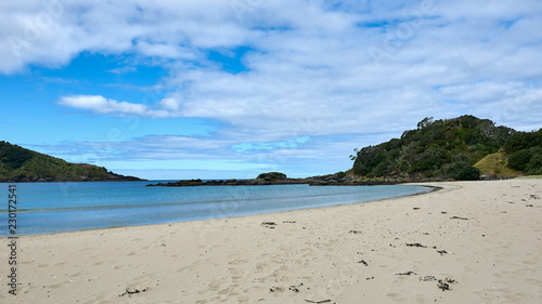 Fototapeta Naklejka Na Ścianę i Meble -  Panoramic view of Matai Bay in karikari peninsula in New Zealand