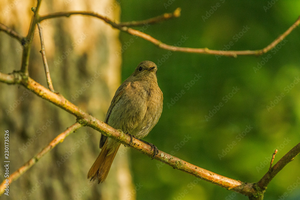 Wildpark Eichert Wildpark Eichert