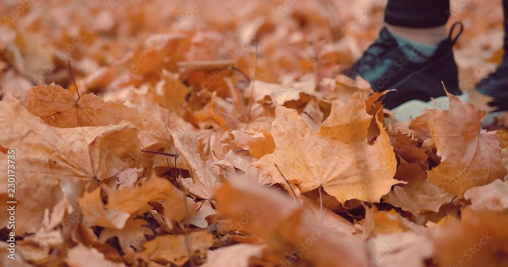 Unrecognizable woman's hand picking up an orange autumn leaf in the park. Close-up Unrecognizable woman's hand picking up an orange autumn leaf in the park. Close-up