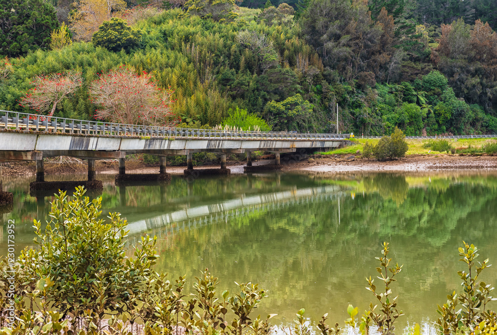 Concrete bridge amongst lust foliage spanning a calm river Concrete bridge amongst lust foliage spanning a calm river