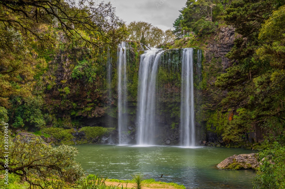 Scenic reserve surrounding the  famous Whangerei waterfall 26 m. high on the Hatea River