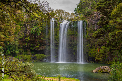 Scenic reserve surrounding the famous Whangerei waterfall 26 m. high on the Hatea River