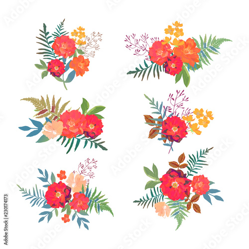 Fototapeta Naklejka Na Ścianę i Meble -  Floral set. Collection with red orange beautiful flowers. Hand d