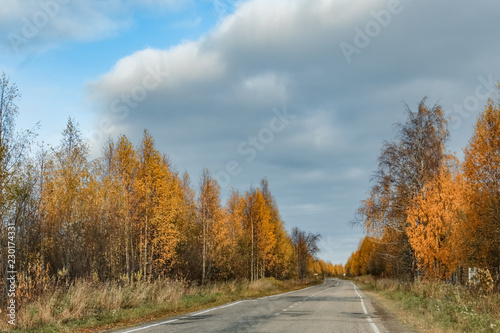 cloud over autumn road