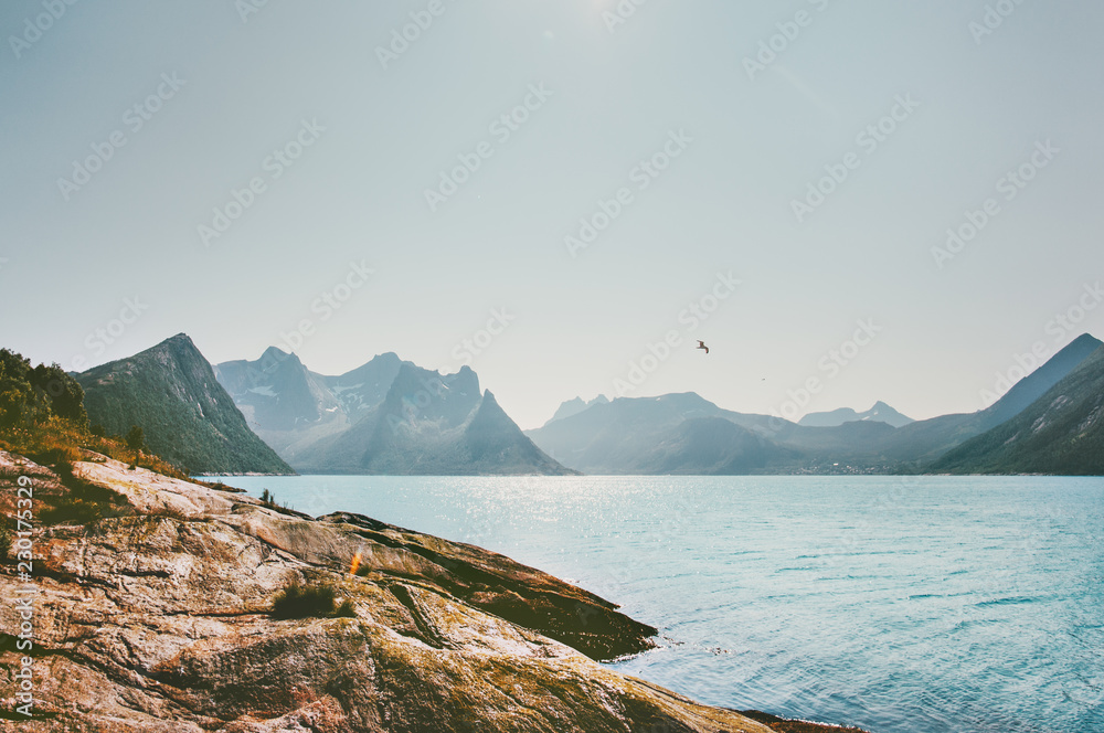 Naklejka premium Mountains and sea landscape in Norway Travel vacations idyllic summer scenery Senja islands