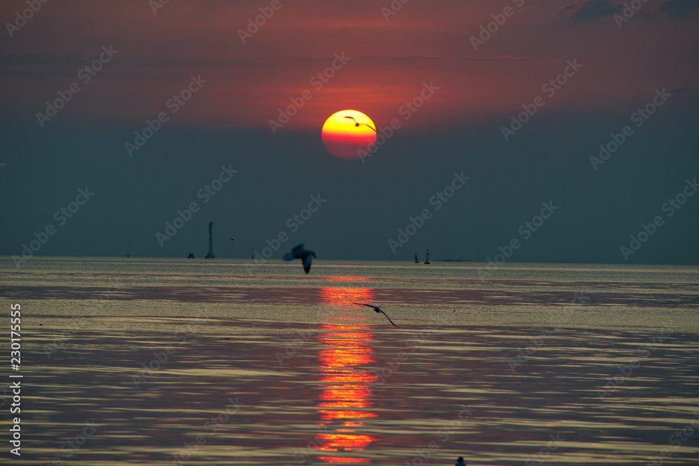 Sunset with seagulls from Samutprakarn province Thailand Sunset with seagulls from Samutprakarn province Thailand