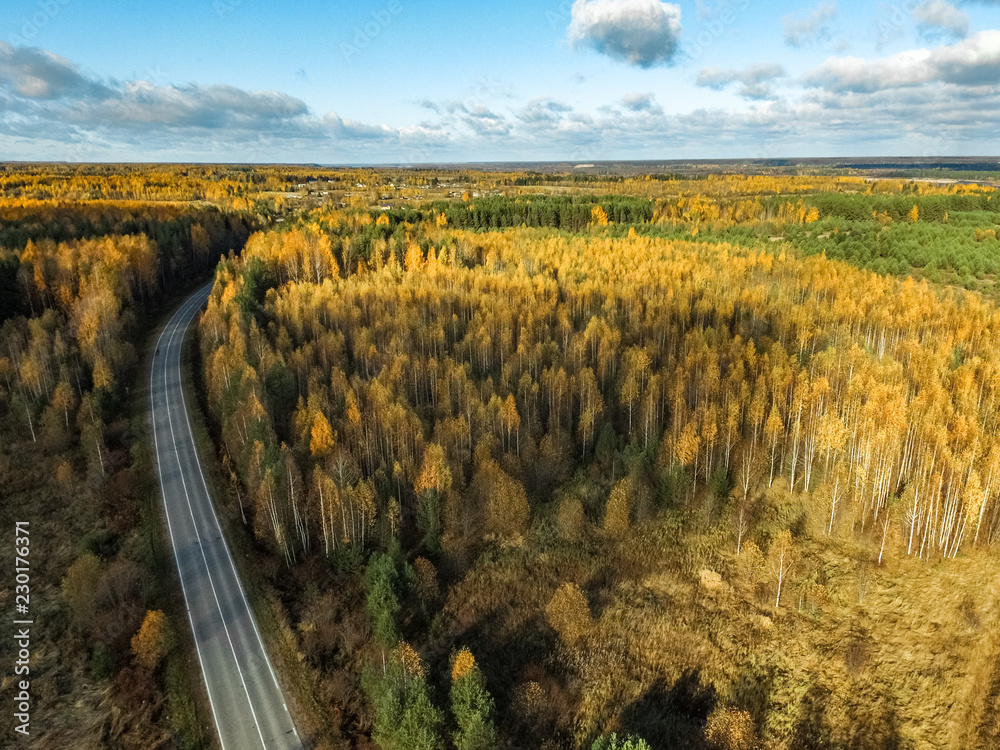 autumn forest in the Russian North