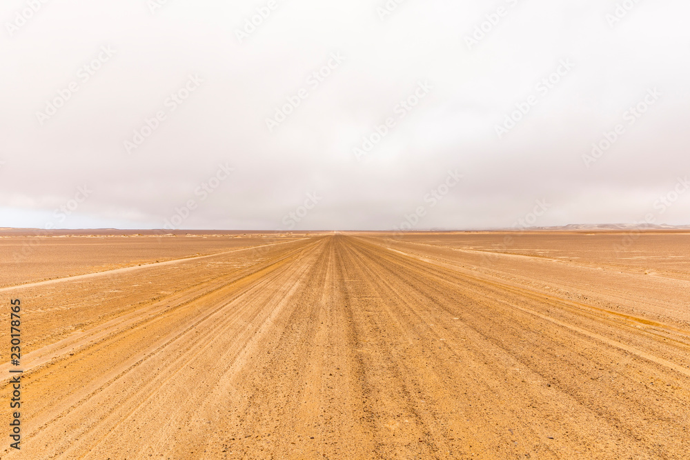 Fototapeta premium Gravel road in Skeleton Coast Park, Namibia.