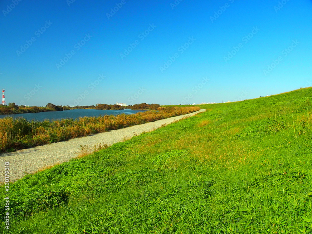 Obraz premium 秋の江戸川風景