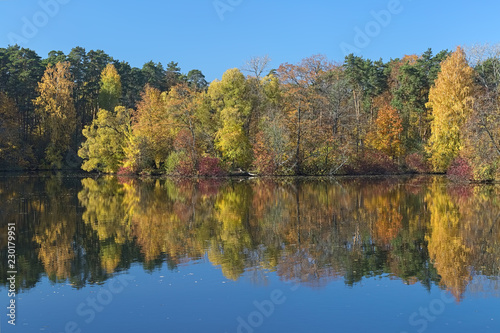 Autumn landscape with yellow, red and green trees reflecting in the calm water of a forest lake in the morning