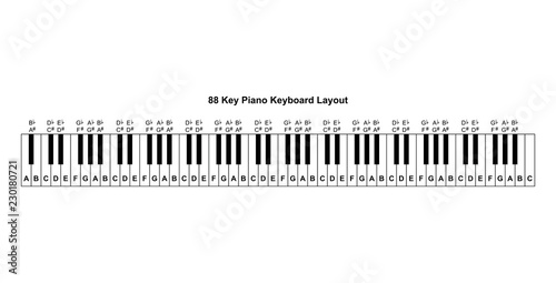 Piano keyboard diagram - piano keyboard layout    on white background vector illustration