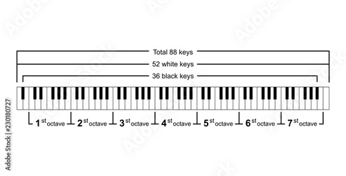 Piano keyboard diagram - piano keyboard layout    on white background vector illustration