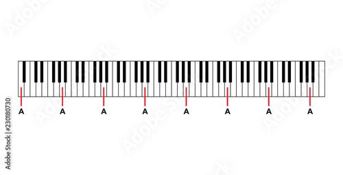 Piano Keyboard Diagram Piano Keyboard Layout On White Background Vector Illustration Stock Vector Adobe Stock