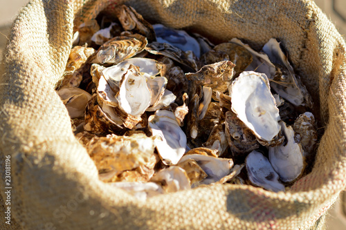 Waste after cooking seafood dishes photo