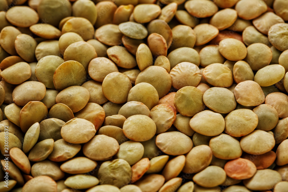 Lentils. Lentils background. Green lentils pattern. Natural organic lentils for healthy food Lentils. Lentils background. Green lentils pattern. Natural organic lentils for healthy food
