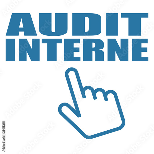 Logo audit interne.