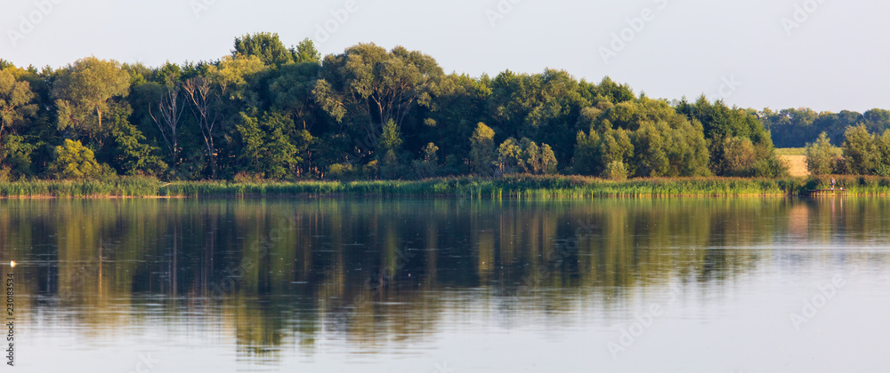 Fototapeta premium Trees with reflection on the water as a background