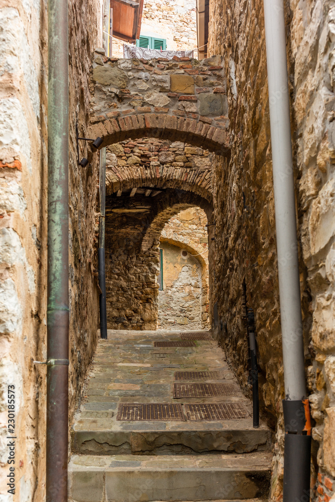 Naklejka premium Colorful narrow streets in the medieval town of Campiglia Marittima in Tuscany - 11