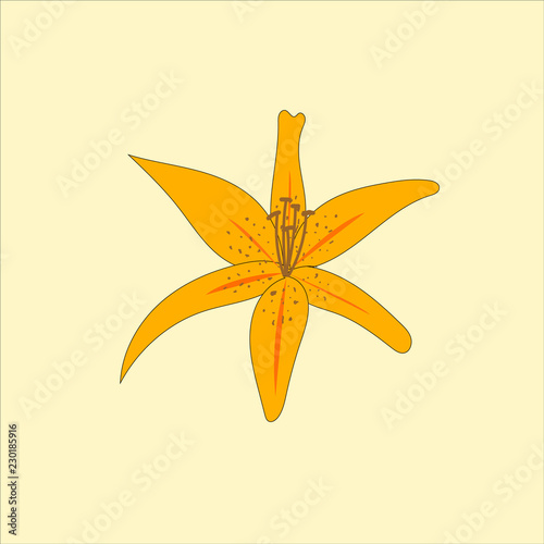 Vector of a yellow flower.