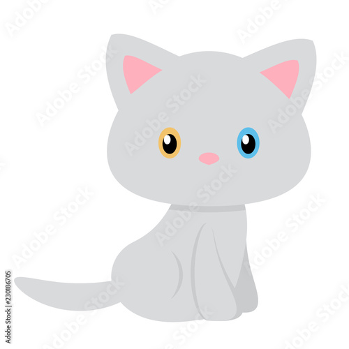 Vector of a simple and pretty gray cat with different colored eyes.