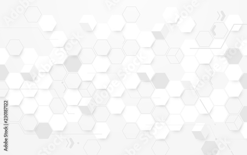 Abstract white hexagon geometric background. vector design