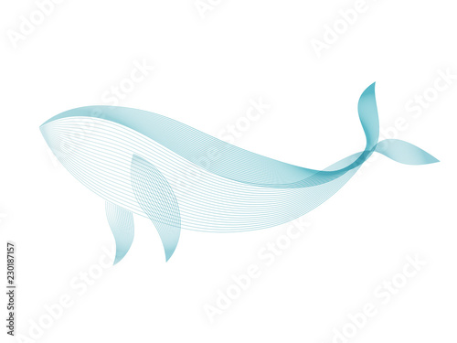 Whale vector illustration create by transparent lines pattern isolated on white background. For background or design elements.