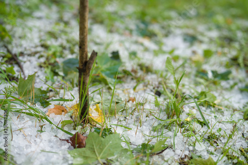 grass covered with hailstones after hailstorm © GCapture