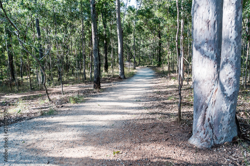 Mt Coot-Tha