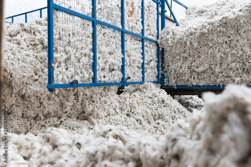 Greek seed cotton in a tractor trolley getting unloaded in the ginning mill
