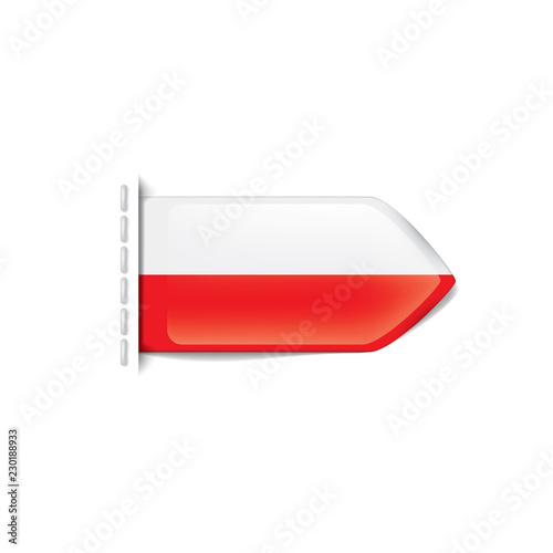 Poland flag, vector illustration on a white background photo