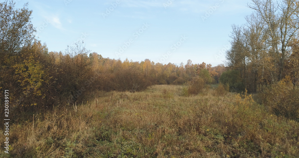Aerial view over autumn rural landscape with field and forest in the morning Aerial view over autumn rural landscape with field and forest in the morning